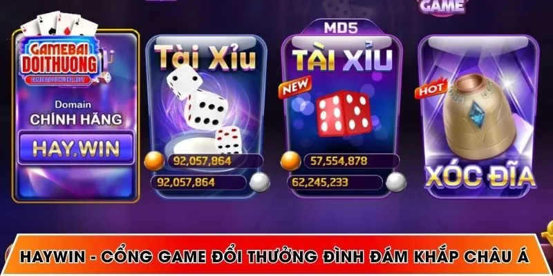 HAYWIN